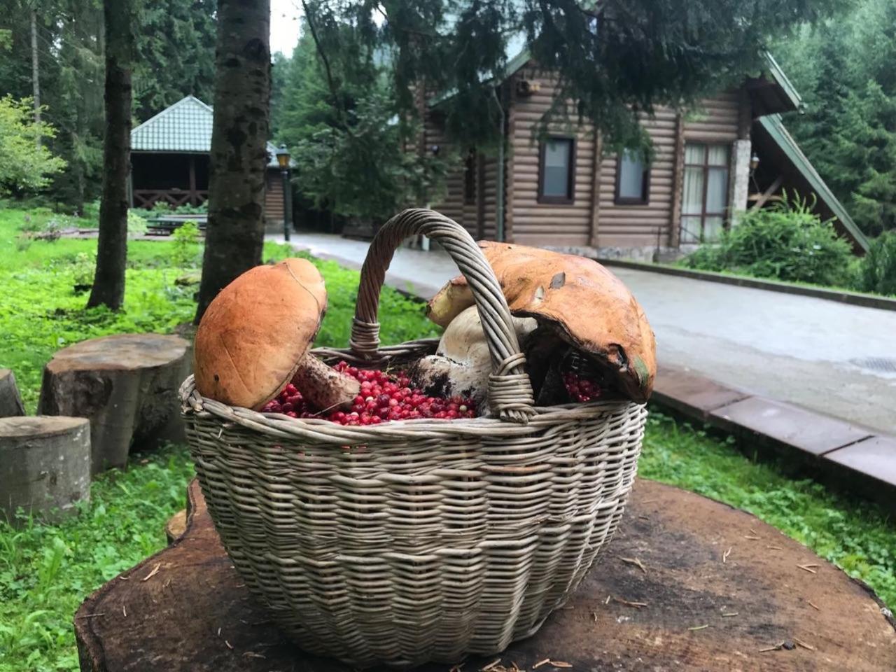 Лісовий Маєток Славске Екстериор снимка